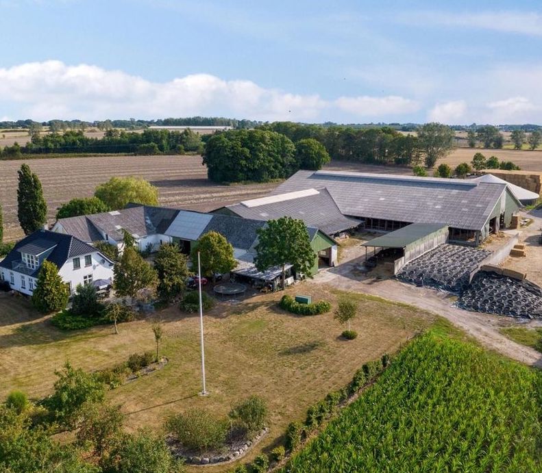 Why Dutch Farmers are Migrating to Denmark