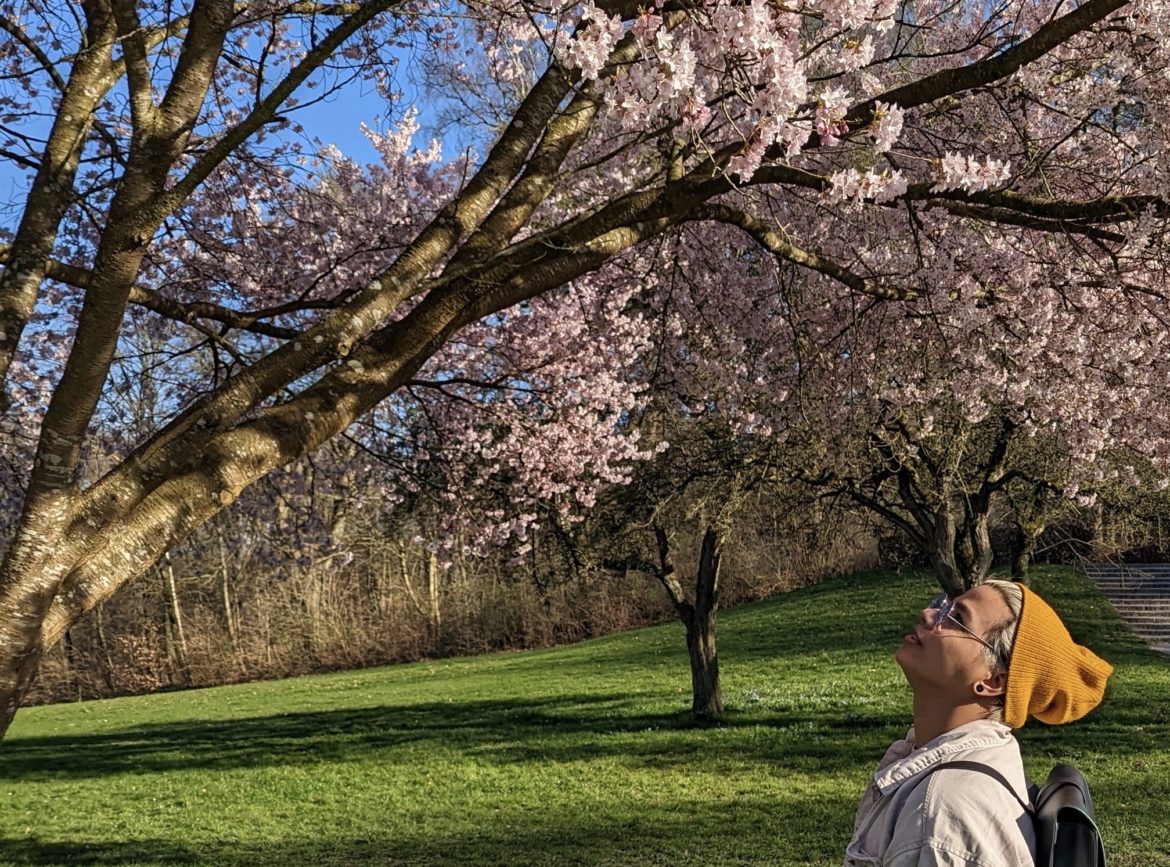 Where I Found a Little Slice of Japan: Cherry Blossoms in Aarhus